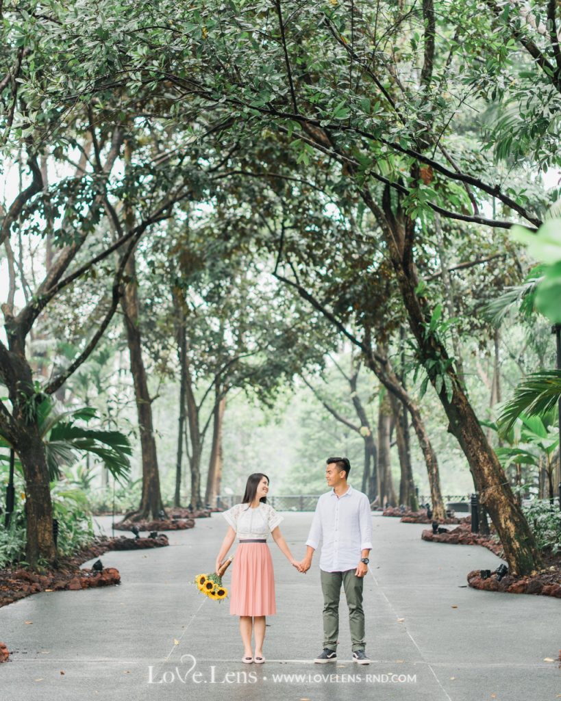 dion wiyoko dan fiona anthony sweet proposal