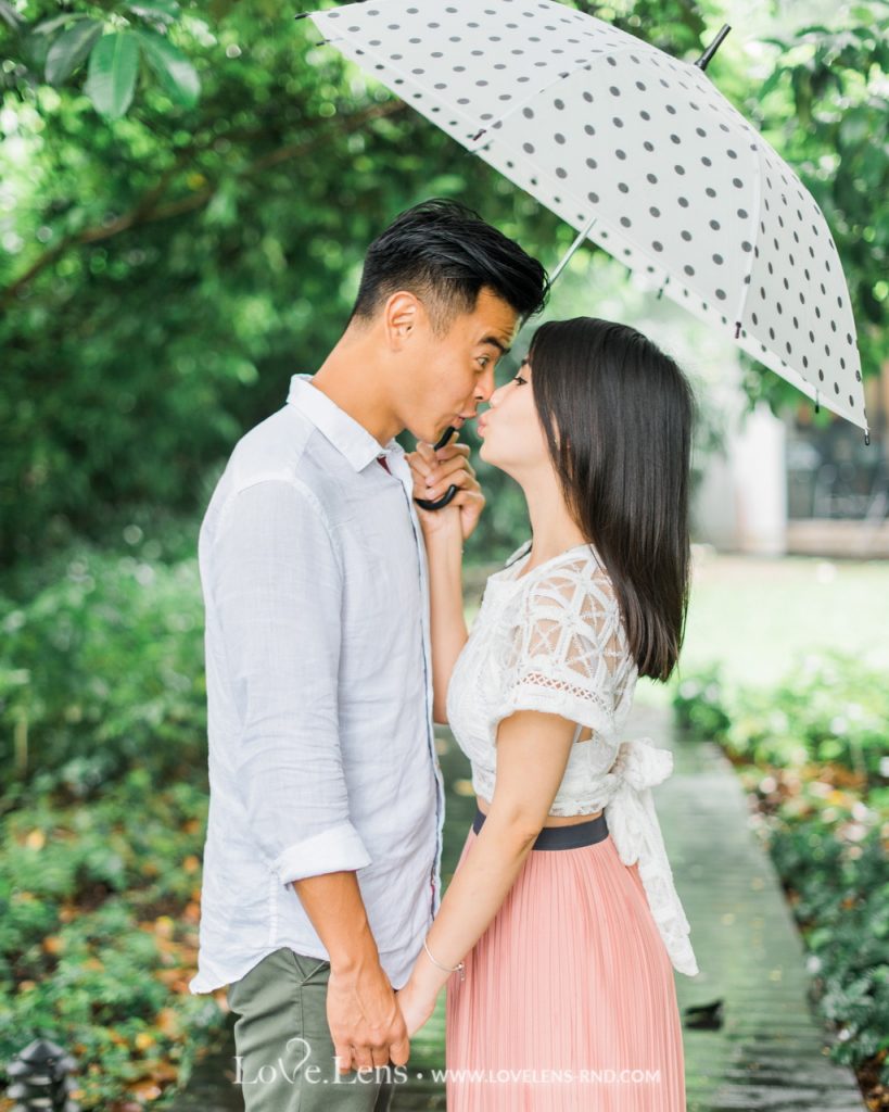 dion wiyoko dan fiona anthony sweet proposal