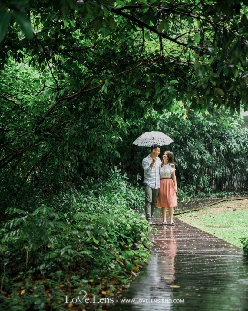 dion wiyoko dan fiona anthony sweet proposal