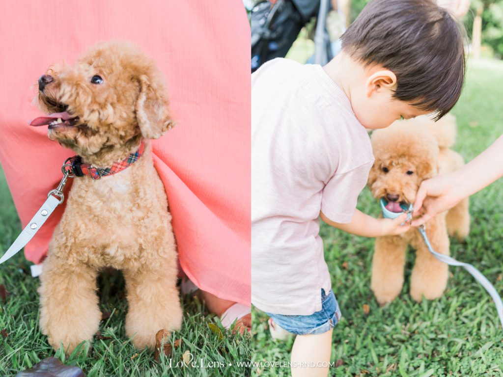 Lovelens Photography Singapore Family Photography Yamaki Family 7 — CHILDHOOD DREAM — LoveLens photography Singapore — LoveLens