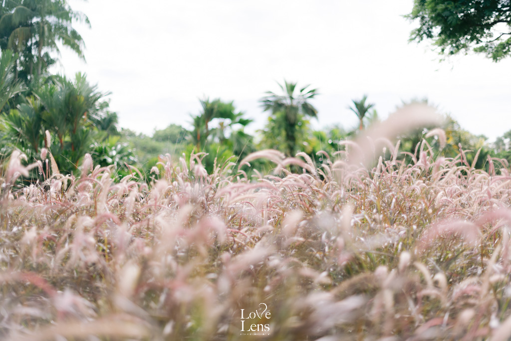 Singapore Family Photographer LoveLens Hitomi 42 — LoveLens fine art photography Singapore — LoveLens