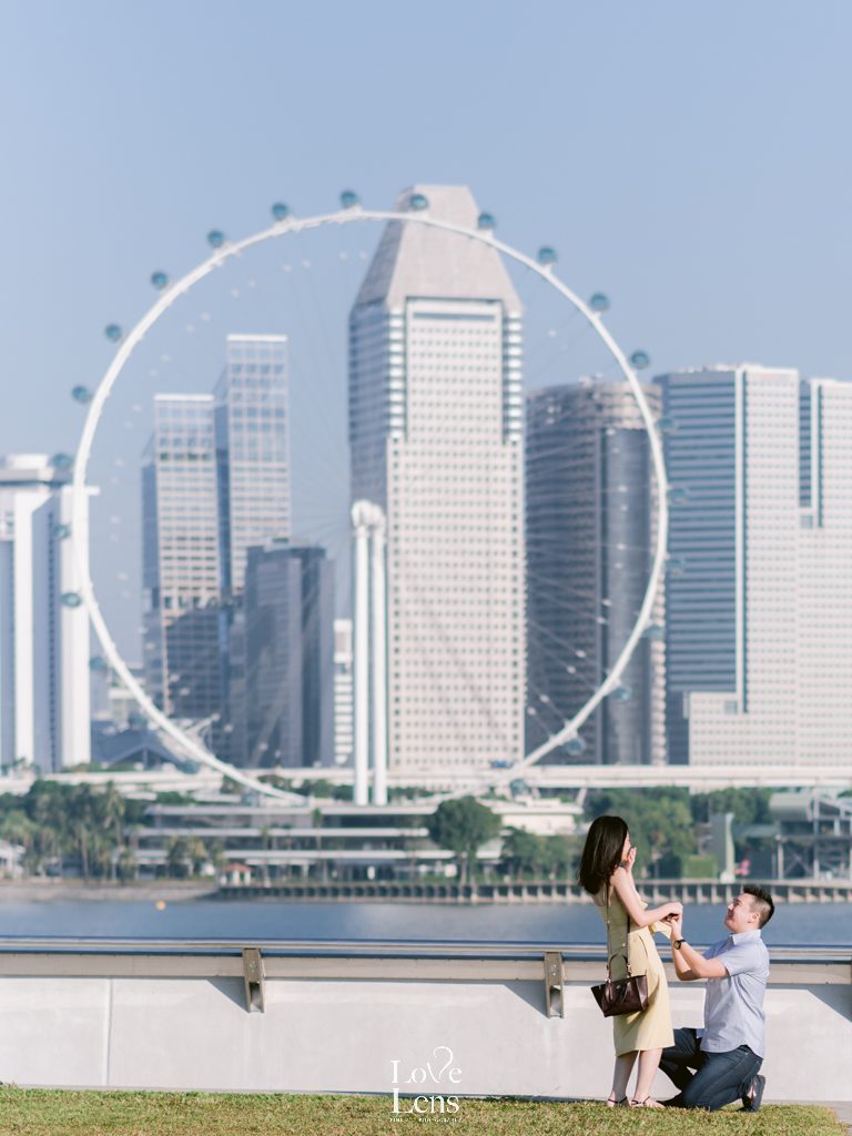 singapore proposal