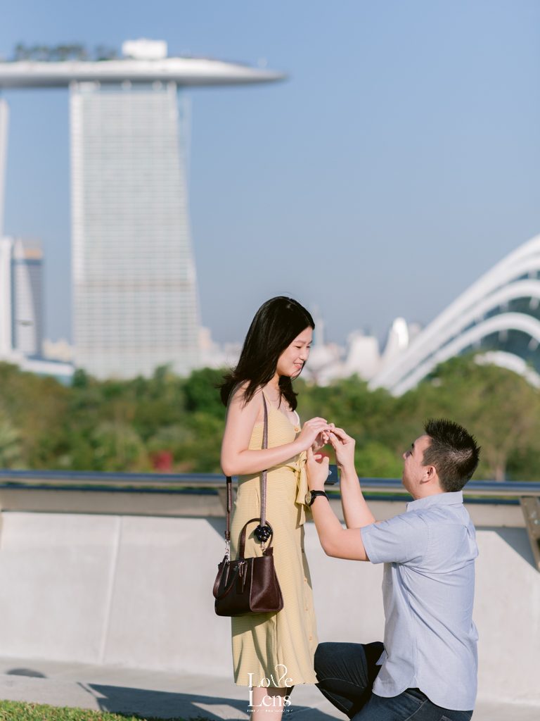 singapore proposal