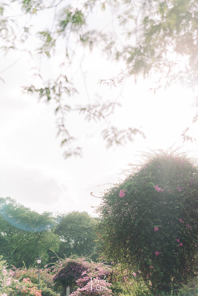 Singapore Photographer Bachelorette Rachel 1 Of 47 — LoveLens fine art photography Singapore — LoveLens