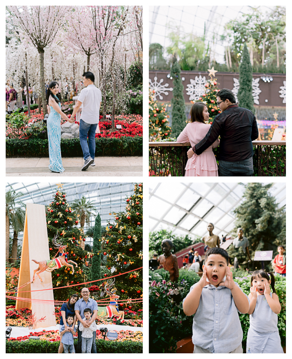 Flower Dome — LoveLens photoshoot location Singapore