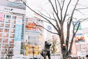 Tokyo Japan — LoveLens fine art photography Singapore — LoveLens