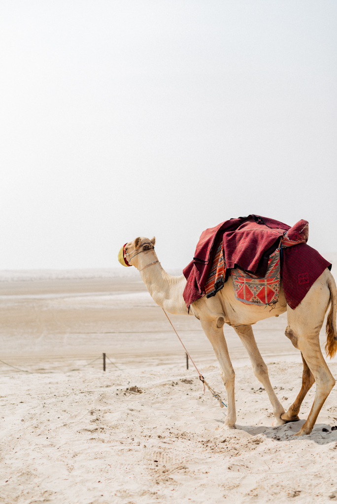 Doha Sealine Beach Katara Village Sand Dunes Doha Qatar — LoveLens fine art photography Singapore — LoveLens