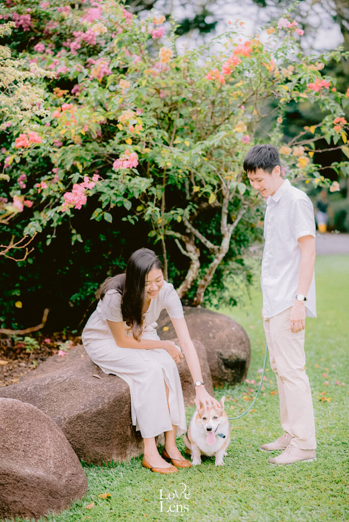 couple photoshoot at singapore botanic gardens